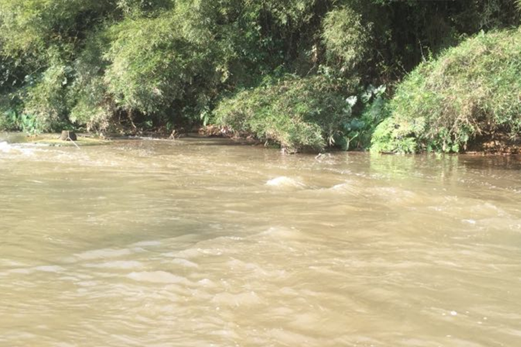玉林市博白县4km河道治理项目