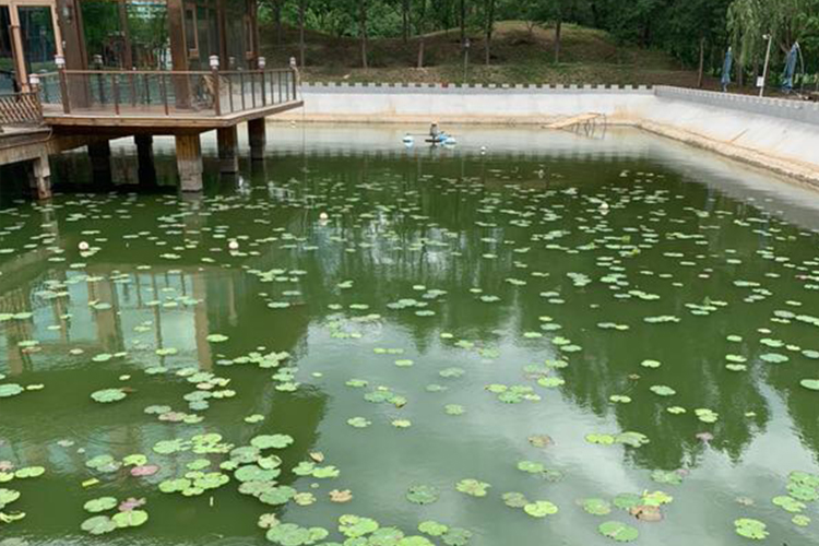 通州区蓝藻污染景观池治理项目