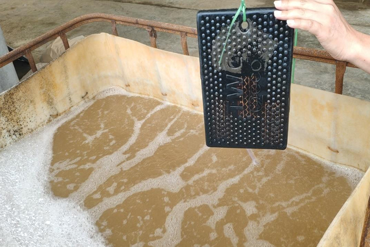 江门某制革厂废水TWC测试项目