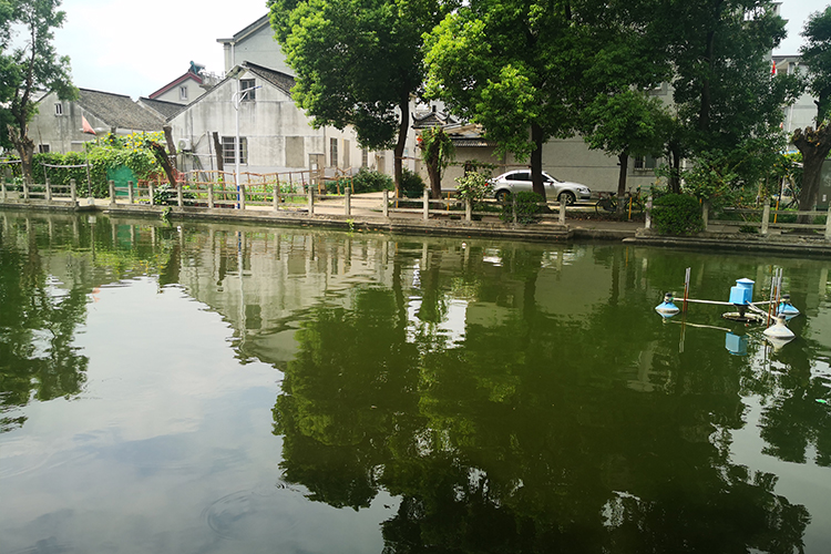 苏州市西楼里河水质净化项目