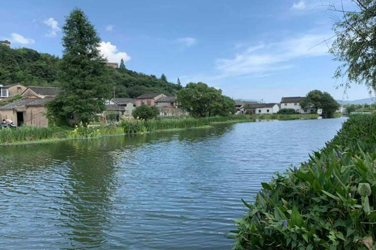 宁波市陶公河5.35万平方米水域水质提标项目