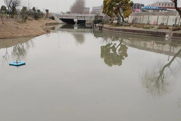 上海徐汇区蓝藻污染河道治理