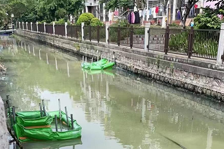 上海市青浦区横四河河段处理项目