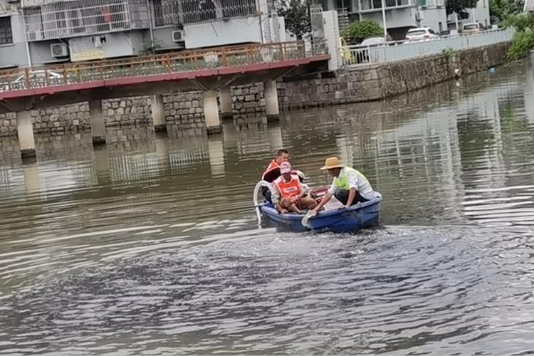 慈溪市河道治理项目