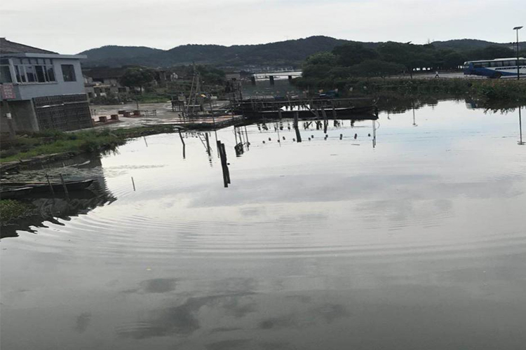 宁波市陶公河治理项目