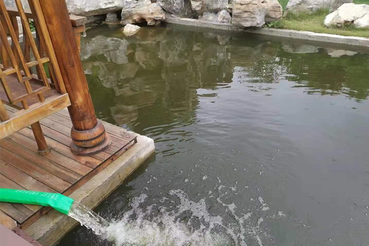 镇江市人工景观河绿藻治理项目
