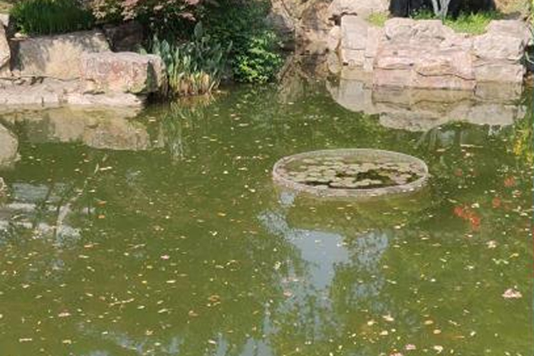 无锡某驾校景观鱼池项目