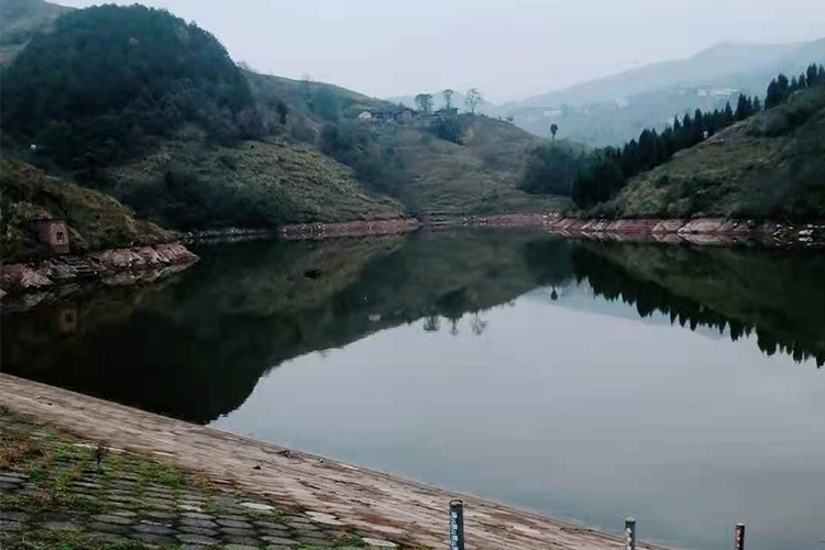 重庆丰都联合水库、人民水库和隆家沟水库水质提升项目